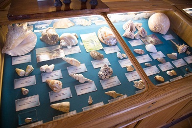geologmuseum2